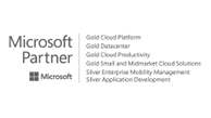Microsoft Partner Grey